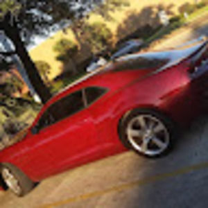 Meet your Posher, Willis